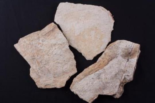 Batu Lempengan Kuning